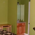 Interior painting home painted with olive color. SNL Painting